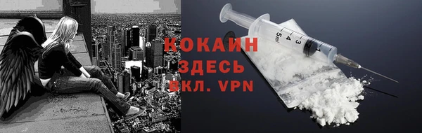 индика Нефтегорск