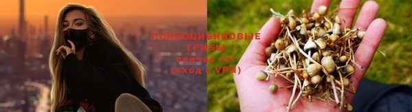 гашиш Надым