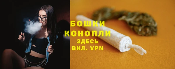 дурь Рославль