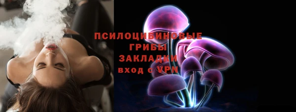 индика Нефтегорск