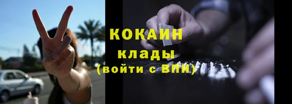 прущие грибы Навашино