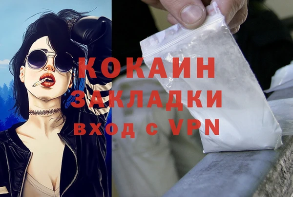 прущие грибы Навашино